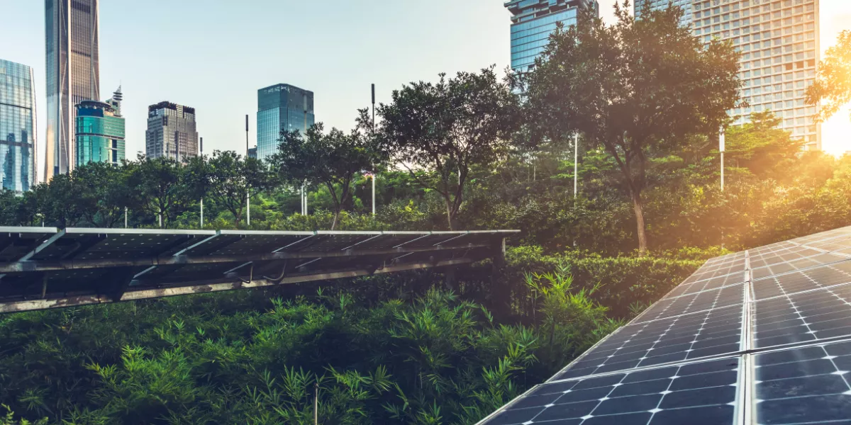 Solar panels in a park among trees and other greenery during sunset