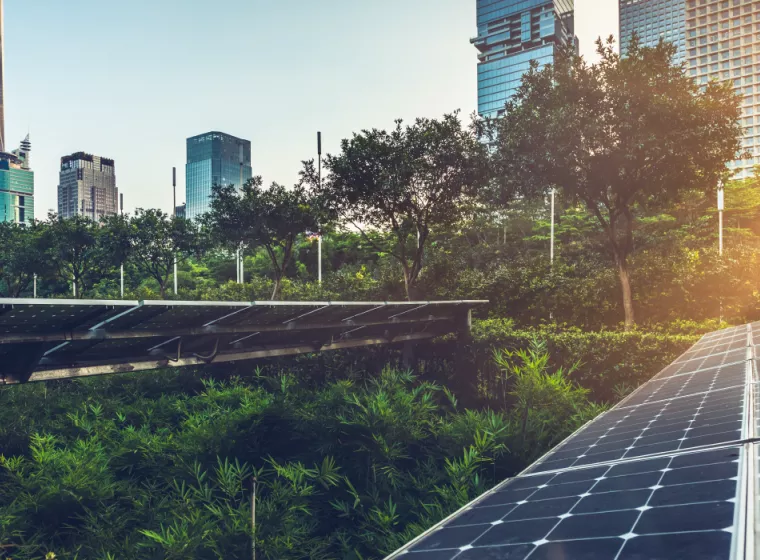 Solar panels in a park among trees and other greenery during sunset