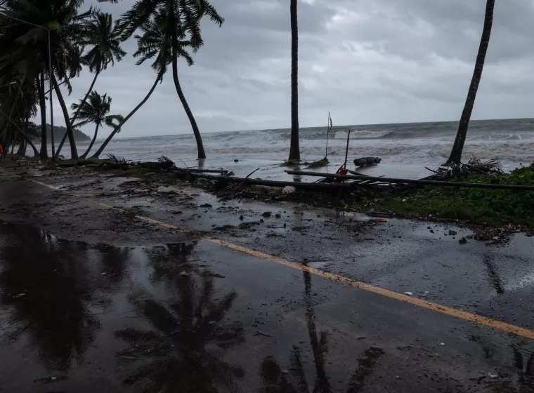 Trees downed across a road in a storm at the edge of beach 