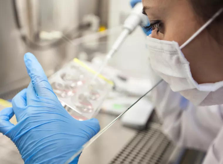 Scientist pipette liquid samples into a test container