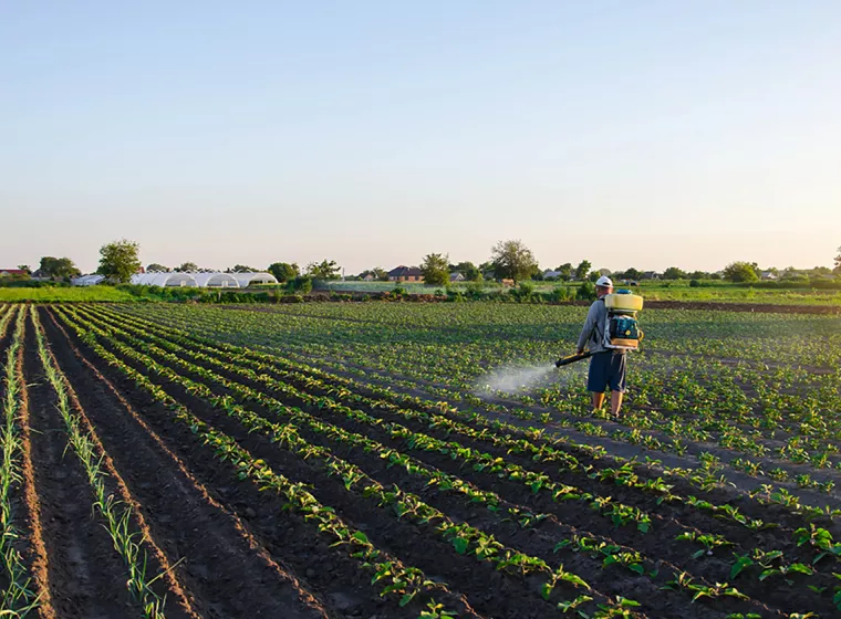 Chemical Regulatory Support in the US