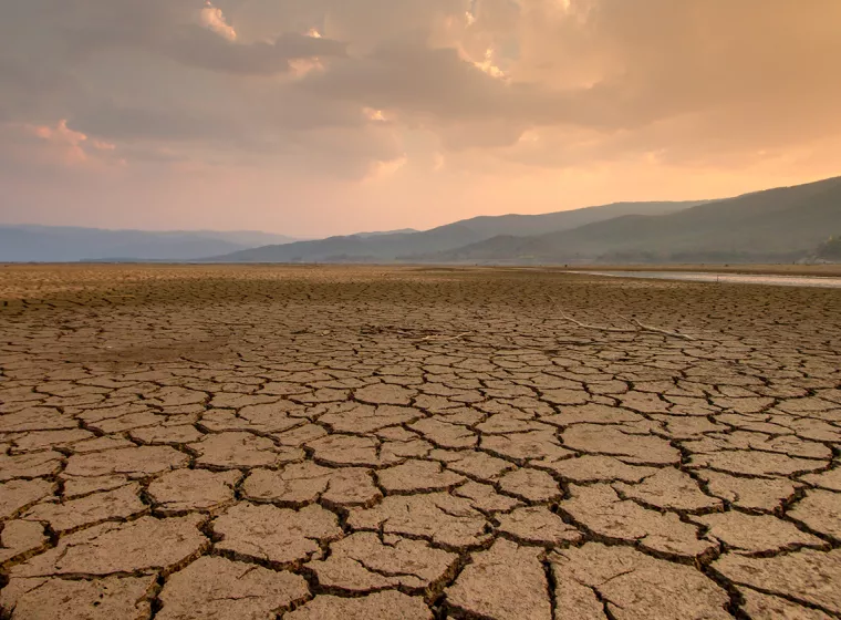 A dry and parched stretch of land. Exponent helps clients take a proactive approach to environmental risk management.