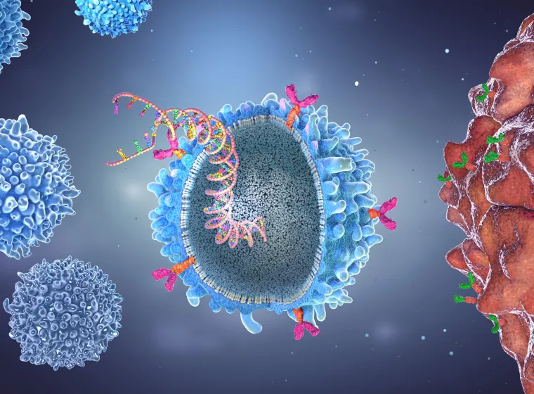 Genetically engineered chimeric antigen receptor immune cell with implanted gene strain