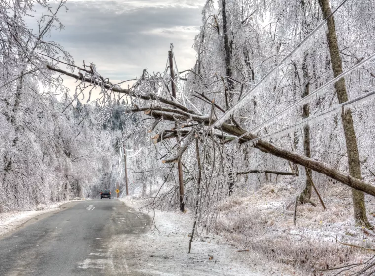 Ice Storm Damage to Power lines