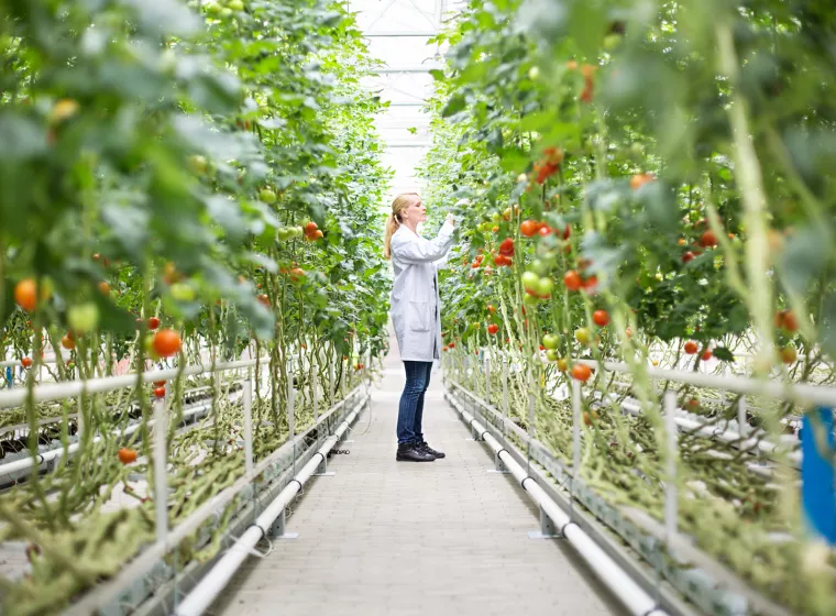 Food Safety & Nutrition Regulatory Support