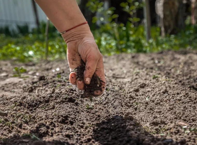 Hand pours the earth on sowing. The concept of gardening, life on earth, style