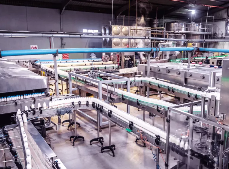 Milk assembly line in a large manufacturing plant 