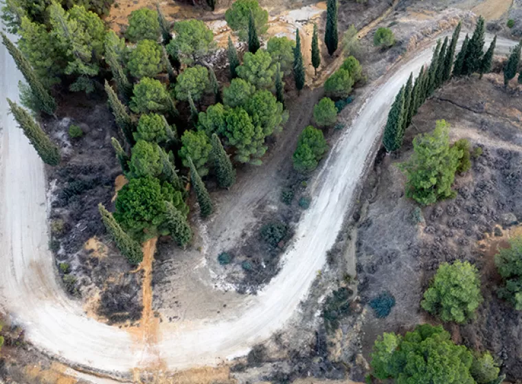 An aerial view of a winding forest road. Exponent helps stakeholders in forestry improve sustainability and safety.