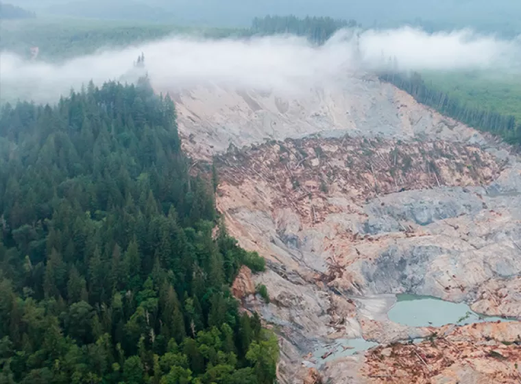 Mudslide on the edge of a forest with heavy fog. Exponent provides support for Ecological & Biological Sciences to improve sustainability.