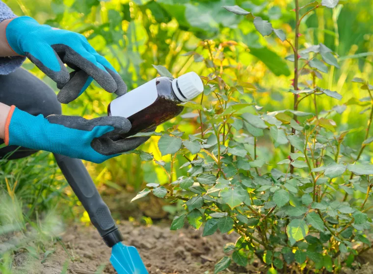 Bottle of garden fertilizer