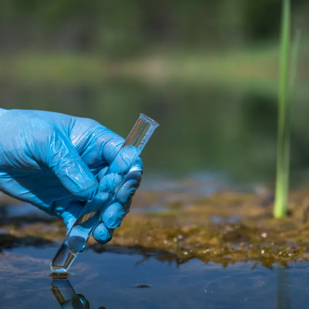 A worker's gloved hand holds a test tube with a water sample against the background of a natural landscape