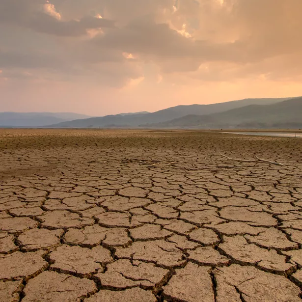 A dry and parched stretch of land. Exponent helps clients take a proactive approach to environmental risk management.