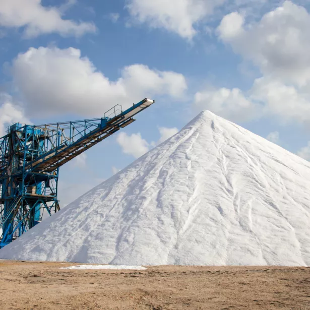 Extraction of mineral salt 