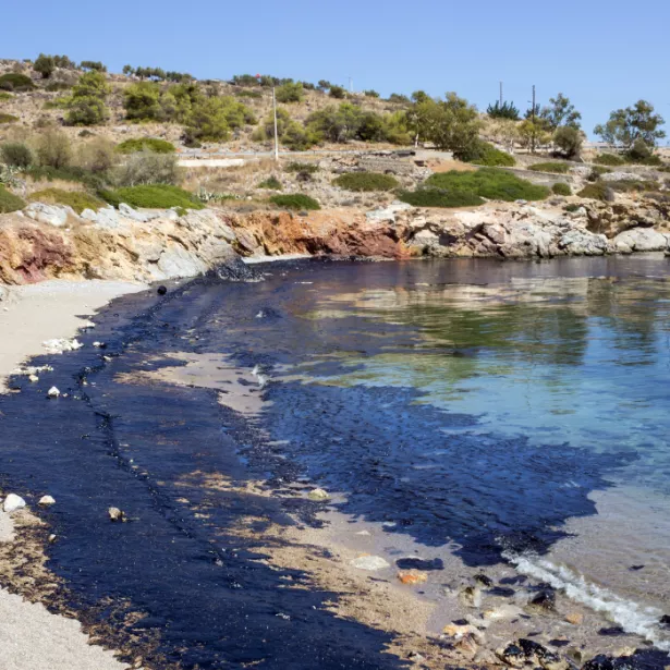 An oil spill pictured along a curved shoreline with buildings in the distance