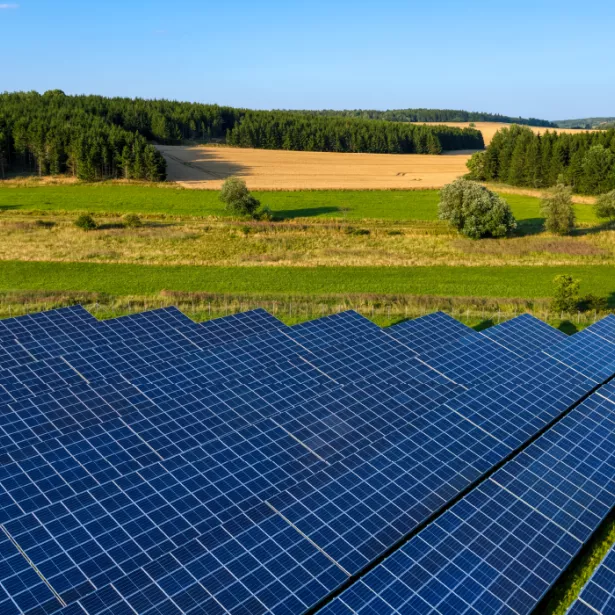 Solar panels in meadow with green grass and tree-covered hillside with building in the background