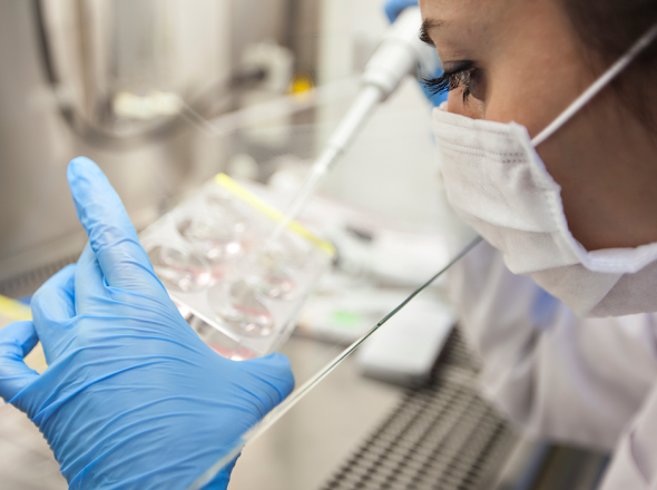 Scientist pipette liquid samples into a test container