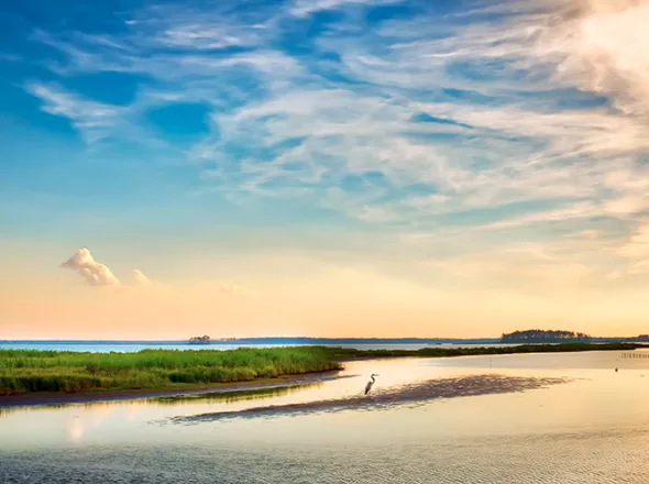 Beautiful waters of the Chesapeake Bay shoreline at sunrise. At Exponent, our work has a global impact.