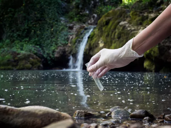 Water quality checking