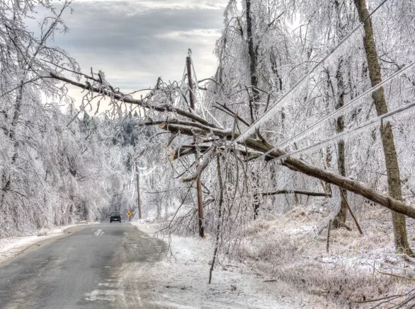 Ice Storm Damage to Power lines