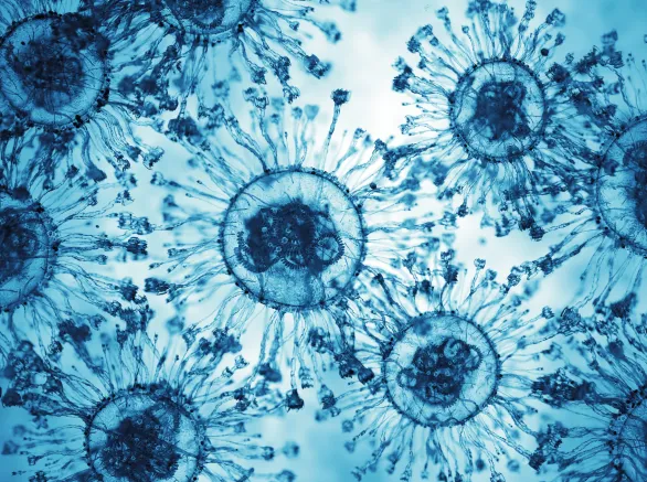 Virus Disease X Cells.