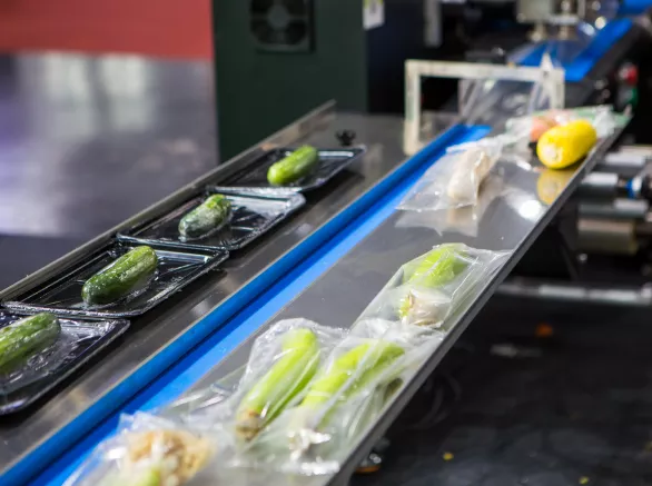 Automatic food flow wrapping machine