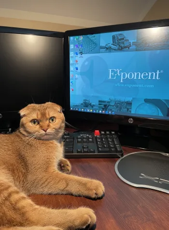 Pet Photo Competition