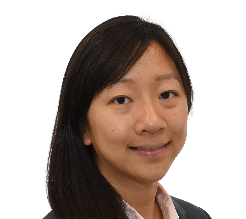 Diana Chin, Ph.D., P.E.