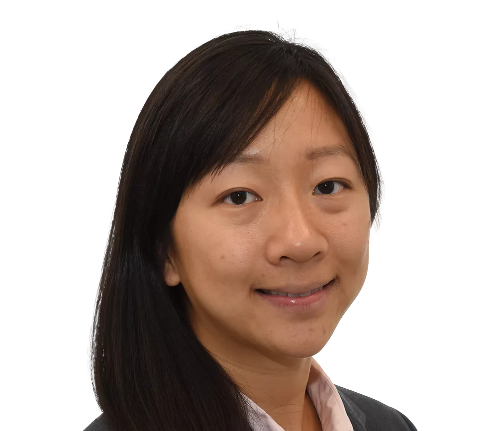 Diana Chin, Ph.D., P.E.