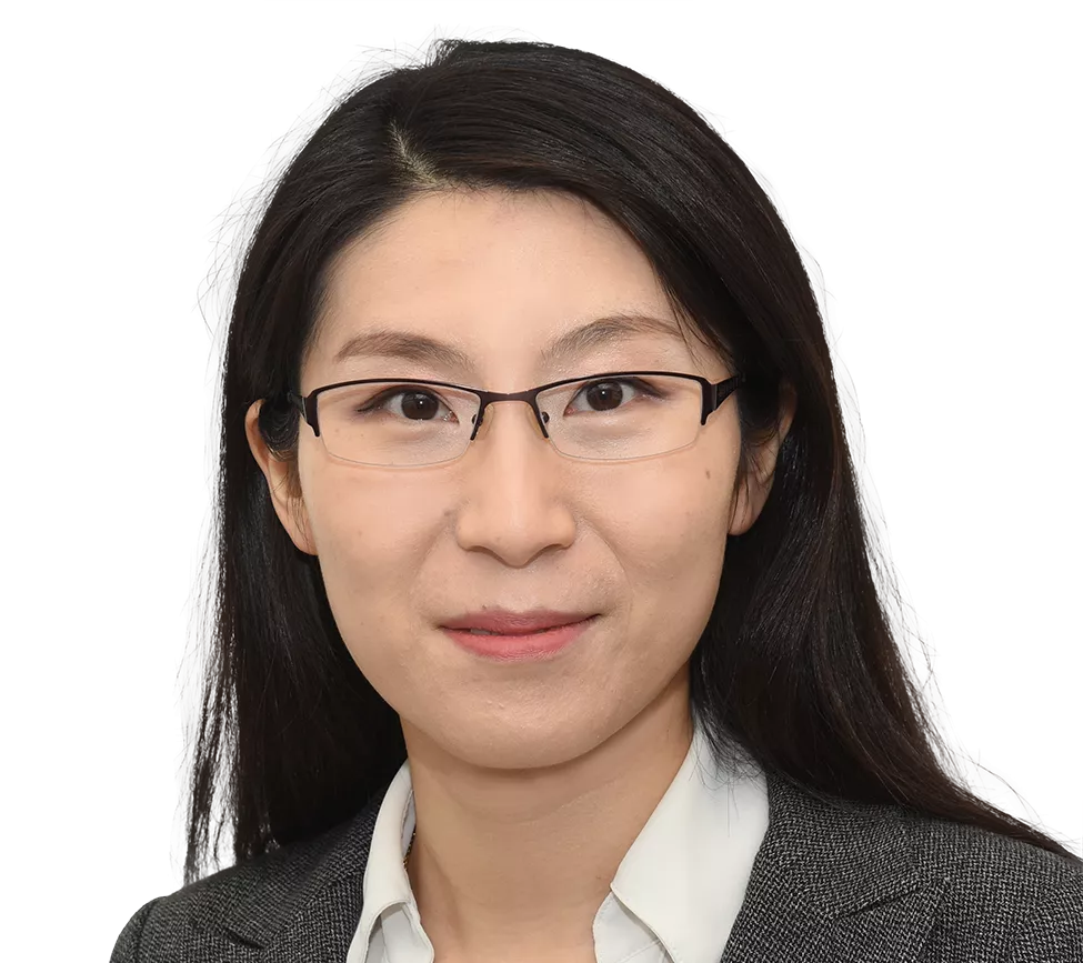 Lijie Yang, Ph.D.