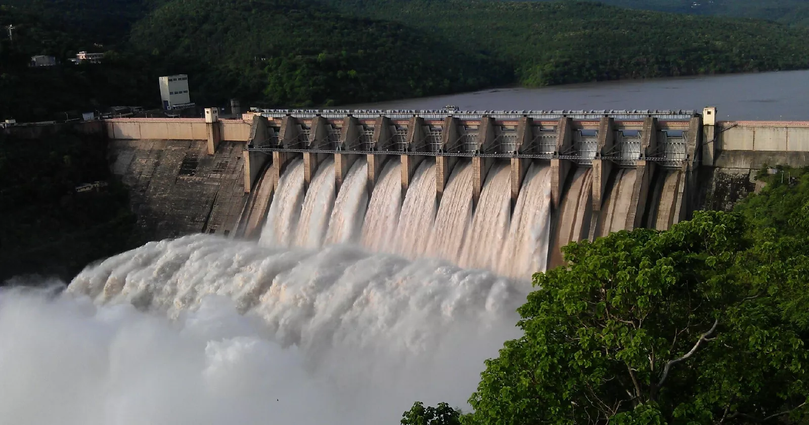 A large power generation dam, water rushing through open concrete gates on a river. Exponent utility and industrial power consulting.