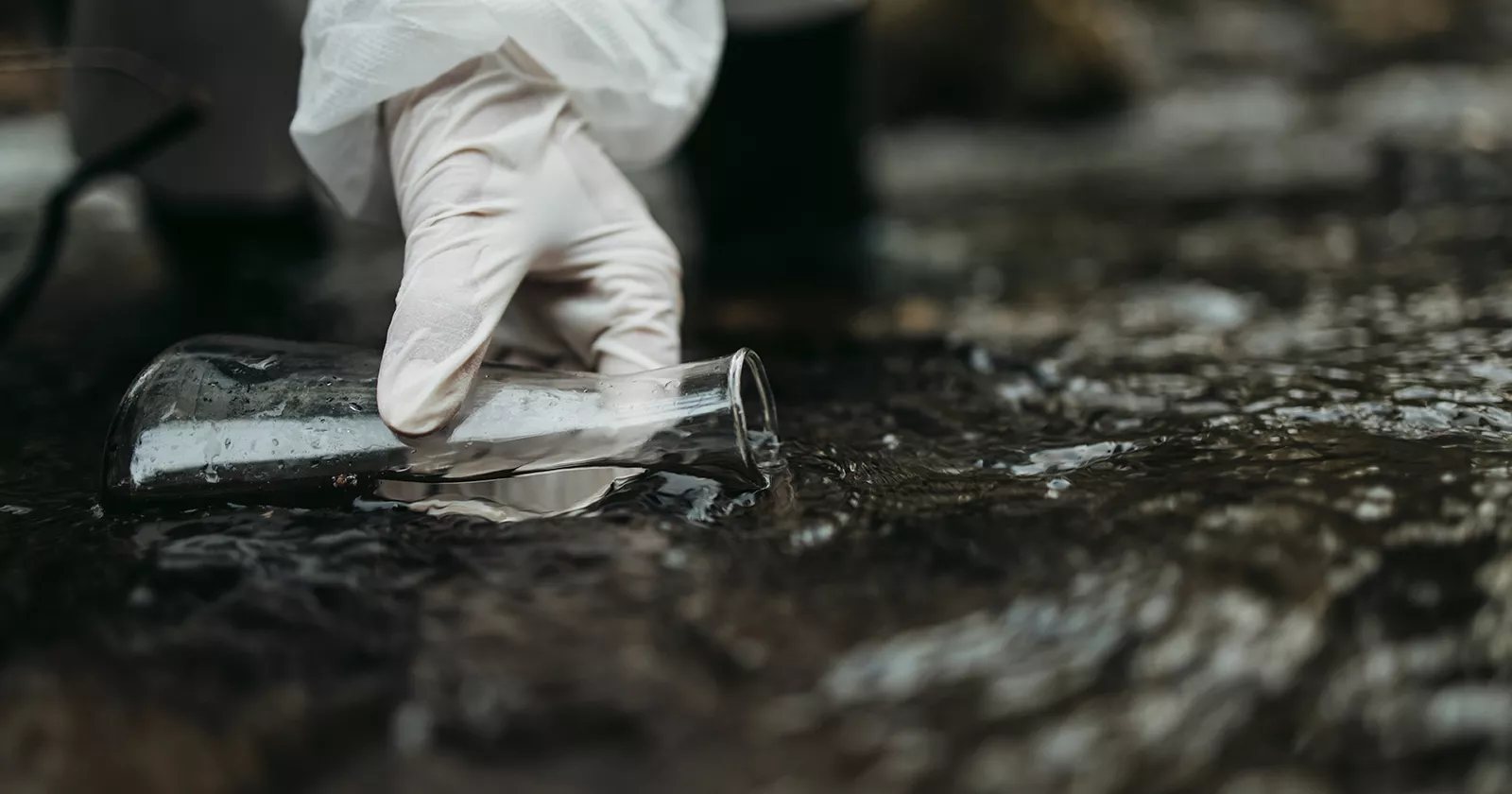 A person sampling fresh water using a test beaker in open environment. Evaluation exposure assessments and toxicity evaluations.