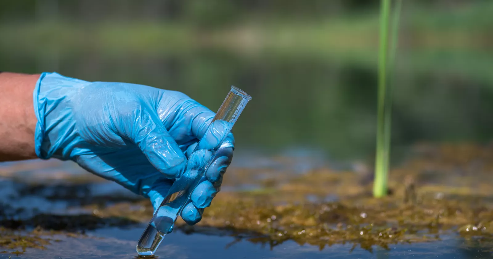 A worker's gloved hand holds a test tube with a water sample against the background of a natural landscape