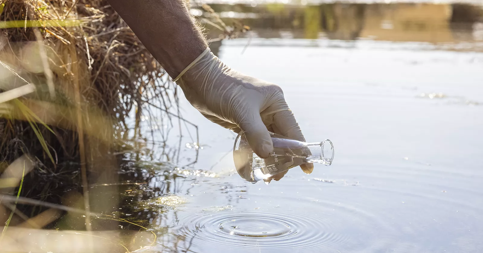 Collecting water samples to evaluate for chemical toxicity. Exponent helps identify chemical contamination sources.