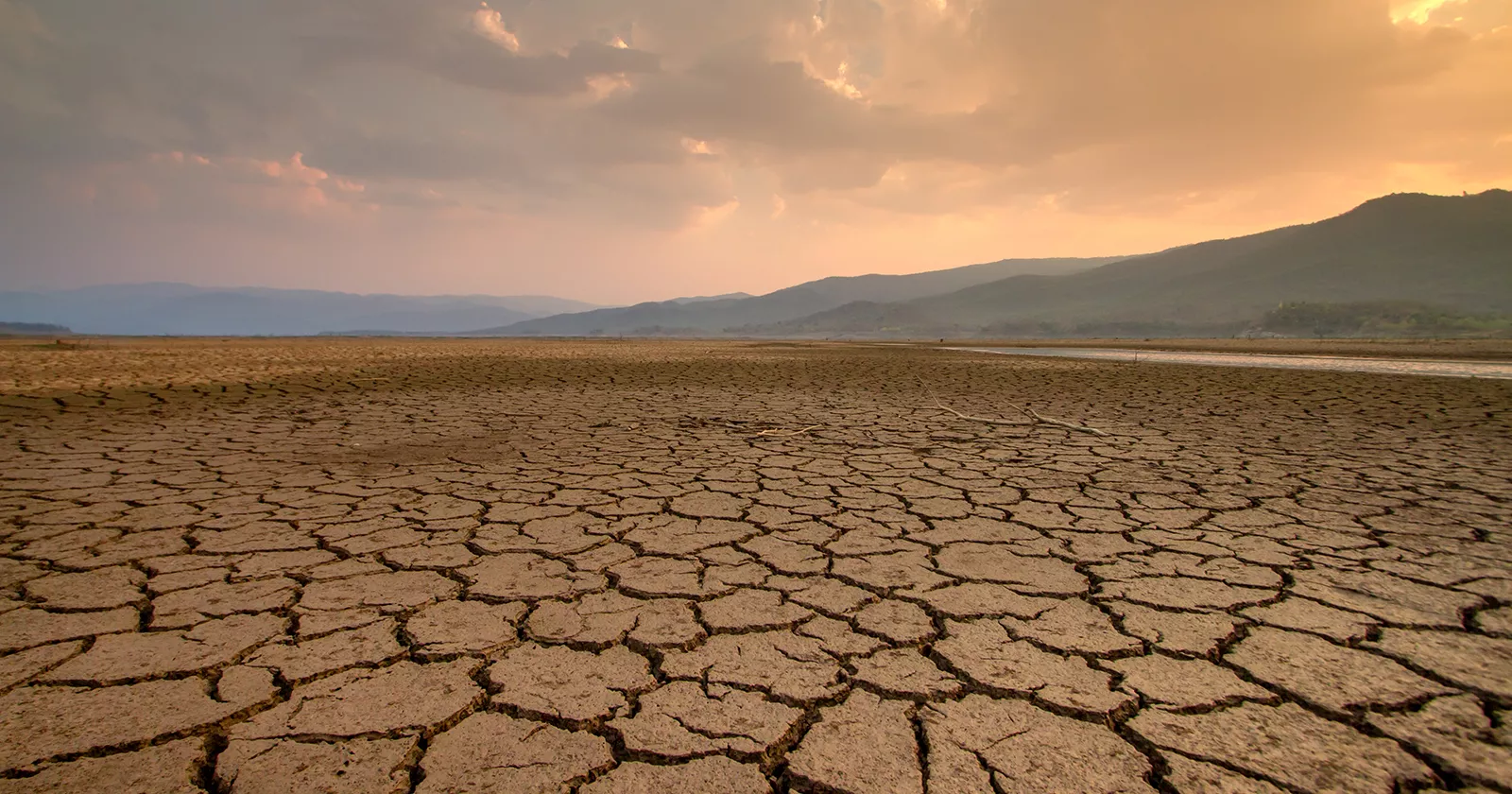 A dry and parched stretch of land. Exponent helps clients take a proactive approach to environmental risk management.