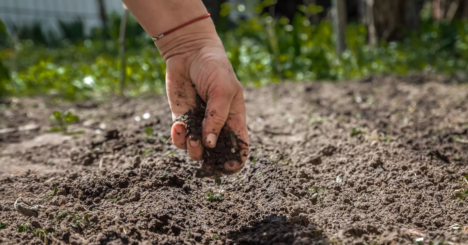 Hand pours the earth on sowing. The concept of gardening, life on earth, style