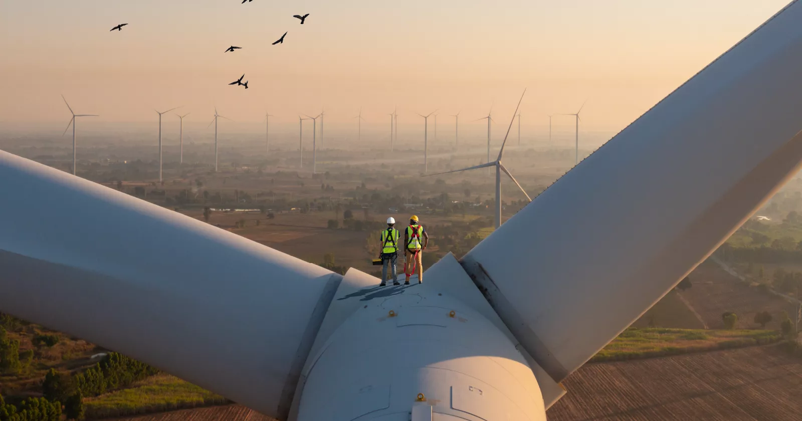 Workers assess wind and alternative energy. Exponent provide expertise for sustainability and climate change issues.