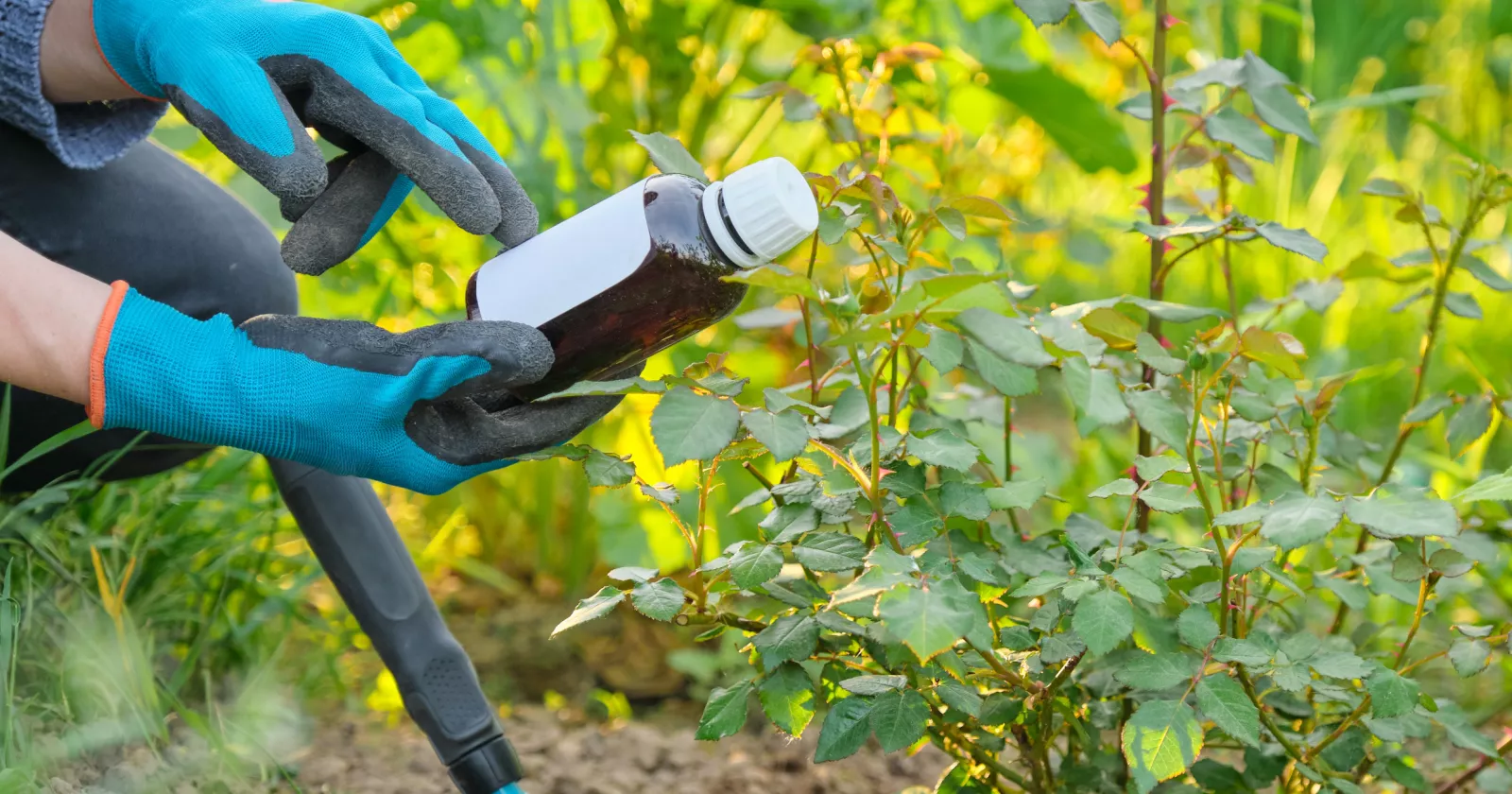 Bottle of garden fertilizer