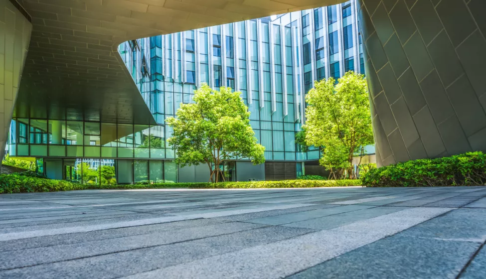 Trees and shrubs in a greenery area outside of a building structure