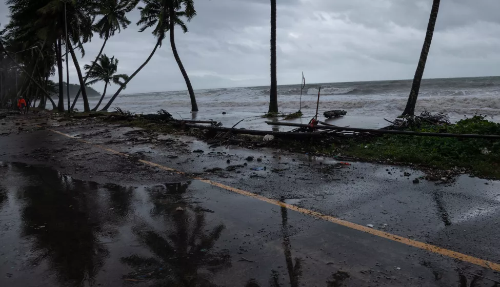 Trees downed across a road in a storm at the edge of beach 