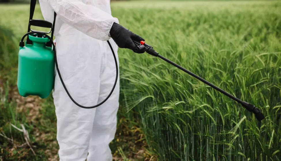 Weed control. Industrial agriculture theme. Scientist in protective work wear spraying toxic pesticides or insecticides on crops growing plantation.