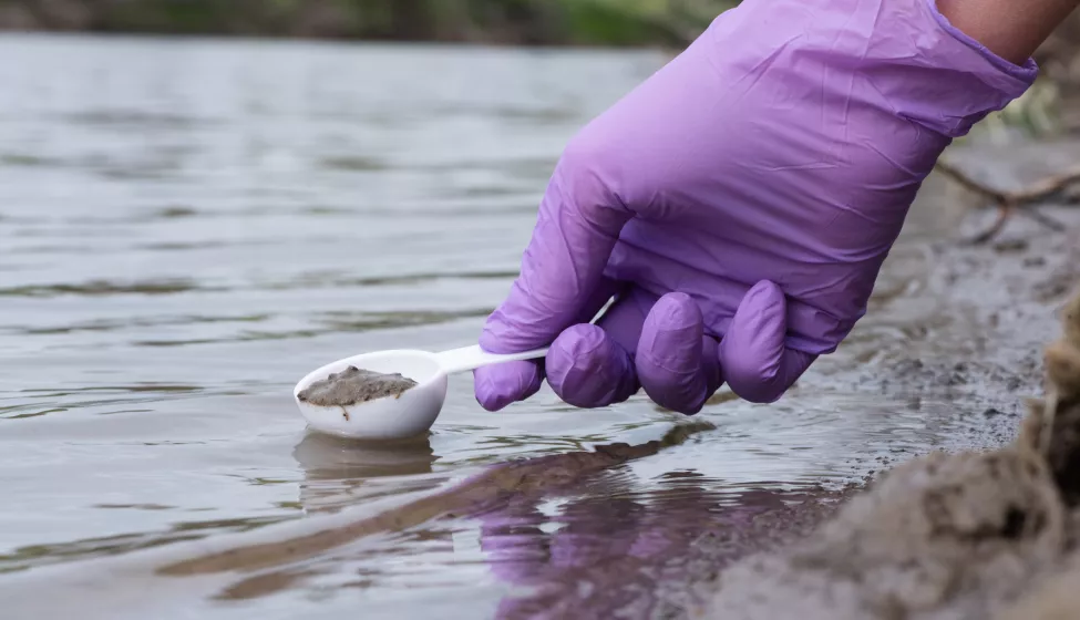 A scientist with a purple glove collects river water