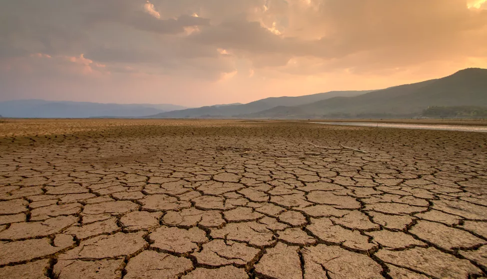 A dry and parched stretch of land. Exponent helps clients take a proactive approach to environmental risk management.