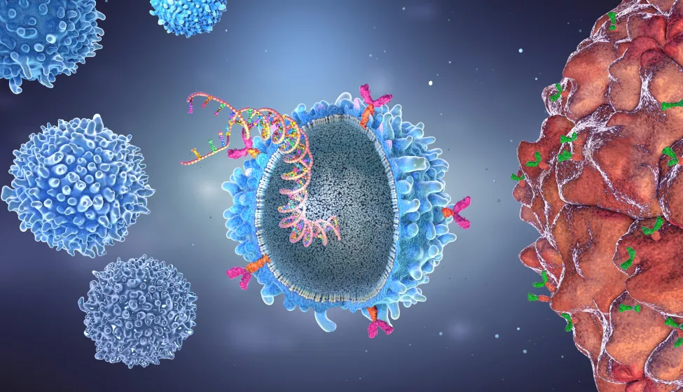 Genetically engineered chimeric antigen receptor immune cell with implanted gene strain