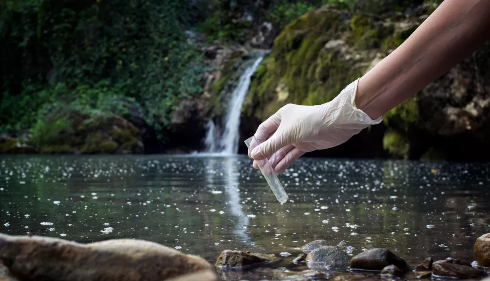 Water quality checking