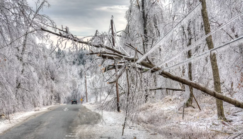 Ice Storm Damage to Power lines