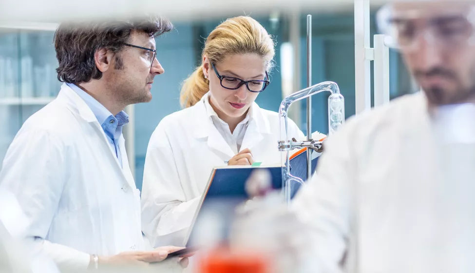 Scientists Working in the Laboratory