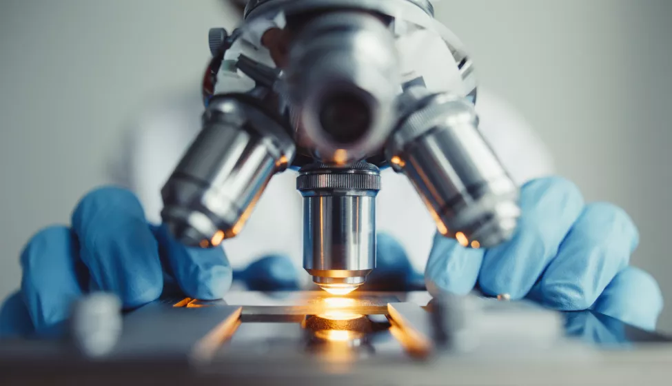 Close up of examining of test sample under the microscope