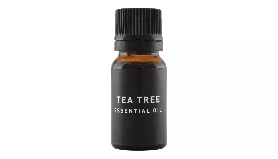 A bottle of tea tree essential oil