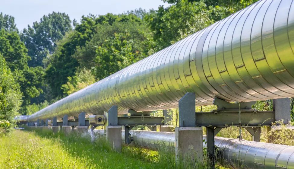 Two silver pipelines (stacked on top of each other) extending through a meadow