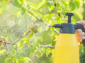 A hand holding a yellow spray container misting plants with pesticide